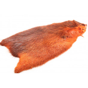 1/2 Bisam Pelt - Orange