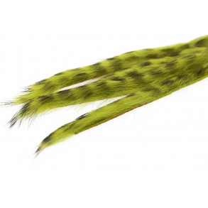 3 mm Rabbit Barred zonkerstrip - Barred Olive