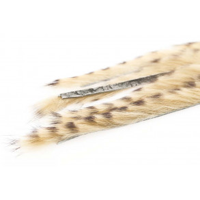 3 mm Rabbit Barred zonkerstrip - Barred Tan