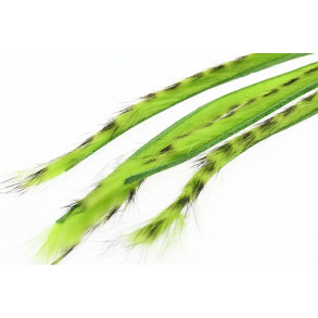 3 mm Rabbit Barred zonkerstrip - Chartreu