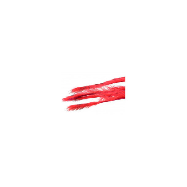 3 mm Rabbit Barred zonkerstrip - Fl. Red