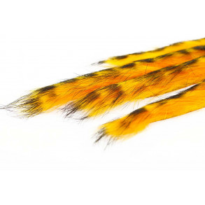 3 mm Rabbit Barred zonkerstrip - Fluo. Orange