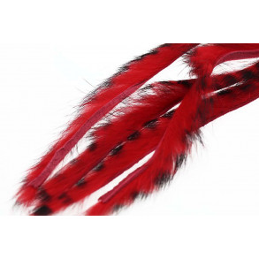 3 mm Rabbit Barred zonkerstrip - Red