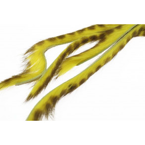3 mm Rabbit Barred zonkerstrip - Warm Yellow