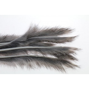 3 mm Rabbit Zonkerstrip - Gray