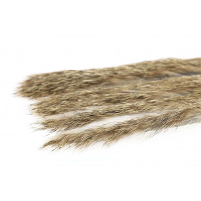 3 mm Rabbit Zonkerstrip - Hare