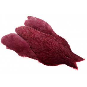 4B Whiting Hen Cape - Claret