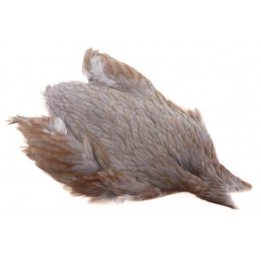 4B Whiting Hen cape - Dark Dun