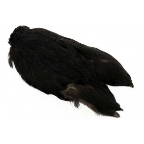 4B Whiting Hen Cape - Dyet Black