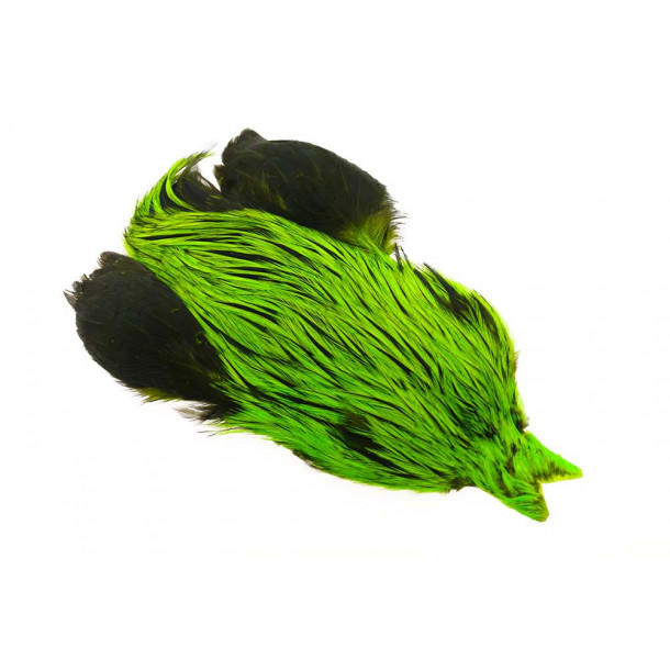 4B Whiting rooster - Badger Dyed Fl Green Chart.