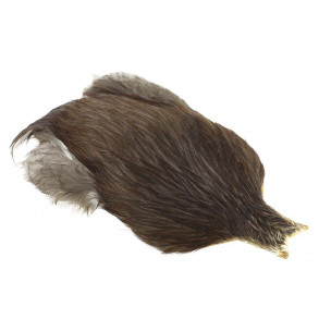 4B Whiting rooster - Dun