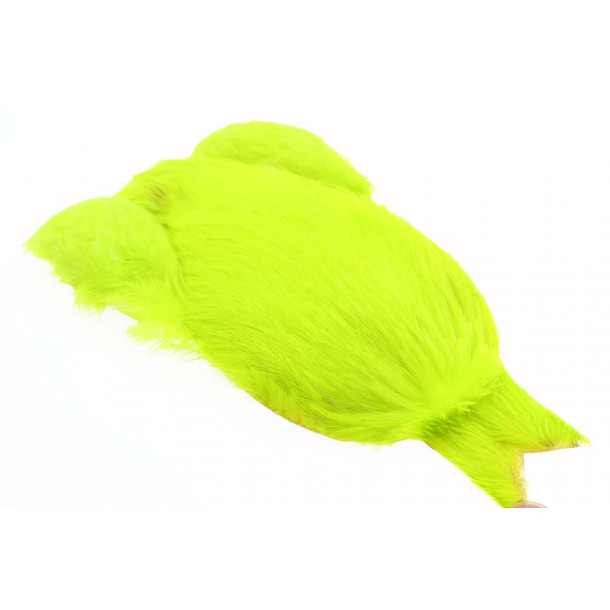 4B Whiting rooster - Fluo Yellow Chatreuse