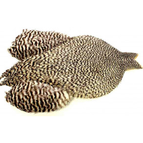 4B Whiting rooster - Grizzly