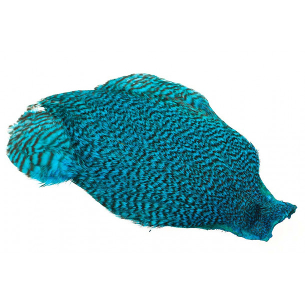 4B Whiting rooster - Grizzly Kingfisher Blue