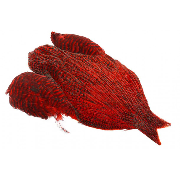 4B Whiting rooster - Grizzly Red