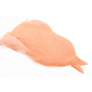 4B Whiting rooster - Salmon pink