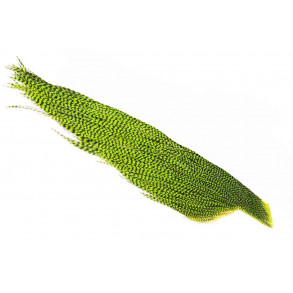 _ Whiting Rooster High N Dry - Grizzly Chartreuse