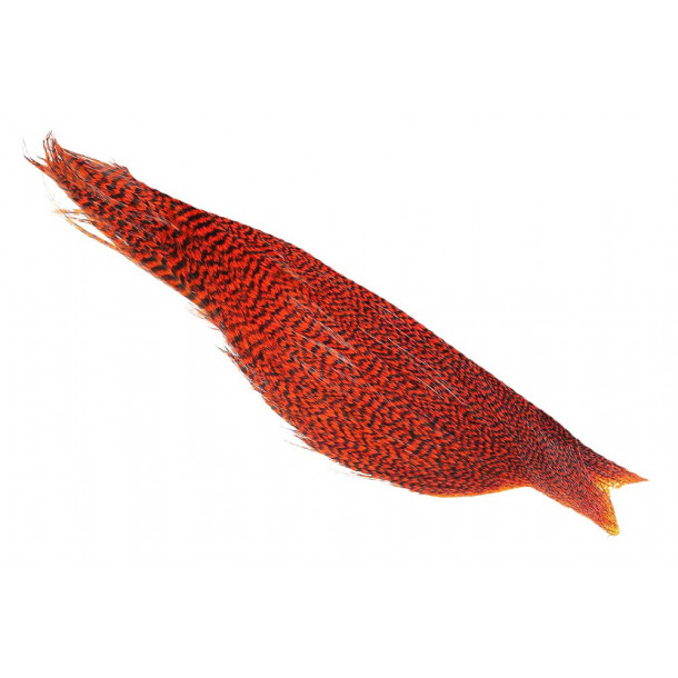 _ Whiting Rooster High N Dry - Grizzly orange