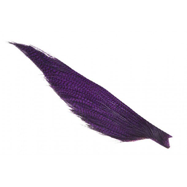 _ Whiting Rooster High N Dry - Grizzly Purple