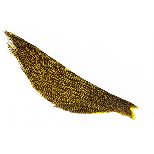 _ Whiting Rooster High N Dry - Grizzly Yellow