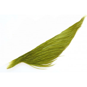 _ Whiting rooster High N Dry - Olive