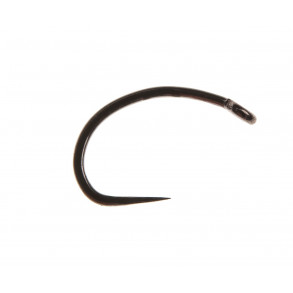 AHREX FW524 Size 10 - Super Dry