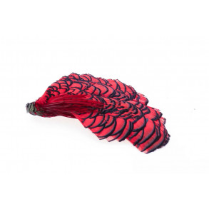 Amherst Pheasant Head - Red