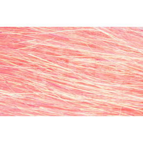 Angel Hair - Electric Shrimp