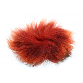 Arctic fox - Fiery Brown