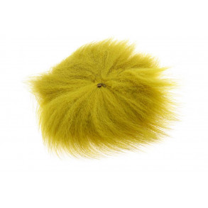 Arctic fox - Golden Olive