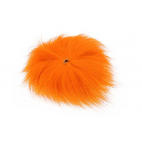 Arctic fox - Orange