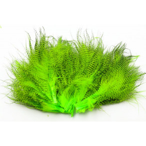 Barred marabou - Chartreuse