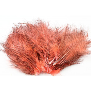Barred marabou - Flourescent salmon pink