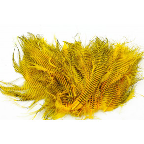 Barred marabou - Sunburst yellow