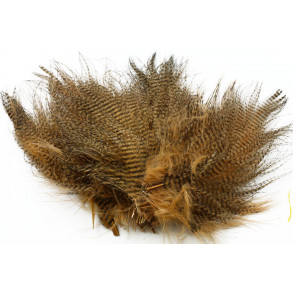 Barred marabou - Tan