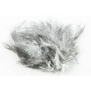 Barred marabou - White