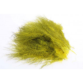 Barred marabou - Yellow