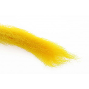 Calftail - Yellow