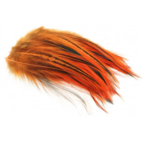 Cock Hackles Badger - Fluo. Orange