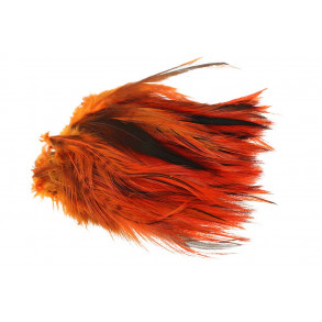 Cock Hackles Badger - Orange