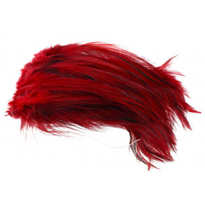 Cock Hackles Badger - Red