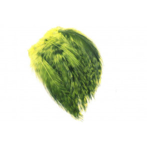Cock Hackles Grizzly - Olive