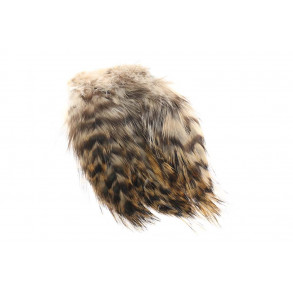 Cock Hackles Grizzly - Tan