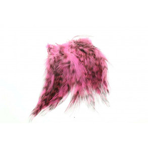 Cock Hackles Grizzly- Pink (FL.)