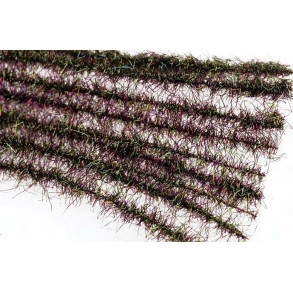 DB Ice Dub. -Peacock Bronze