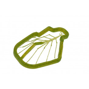 Easy Shrimp Legs 2.0: rejeben - Transparent Dirty olive