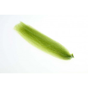 Flash n Slinky - Wild Olive