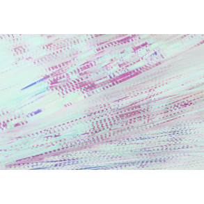 Flashabou lateral scale - Mirage pearl