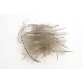 Flyco Cul De Canard - Natural