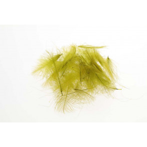 Flyco Cul De Canard - Olive